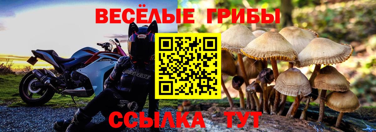 Псилоцибиновые грибы ЛСД Тобольск