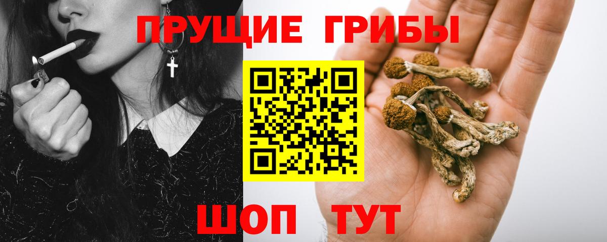 Тобольск  Галлюциногенные грибы ЛСД  Вход с VPN 